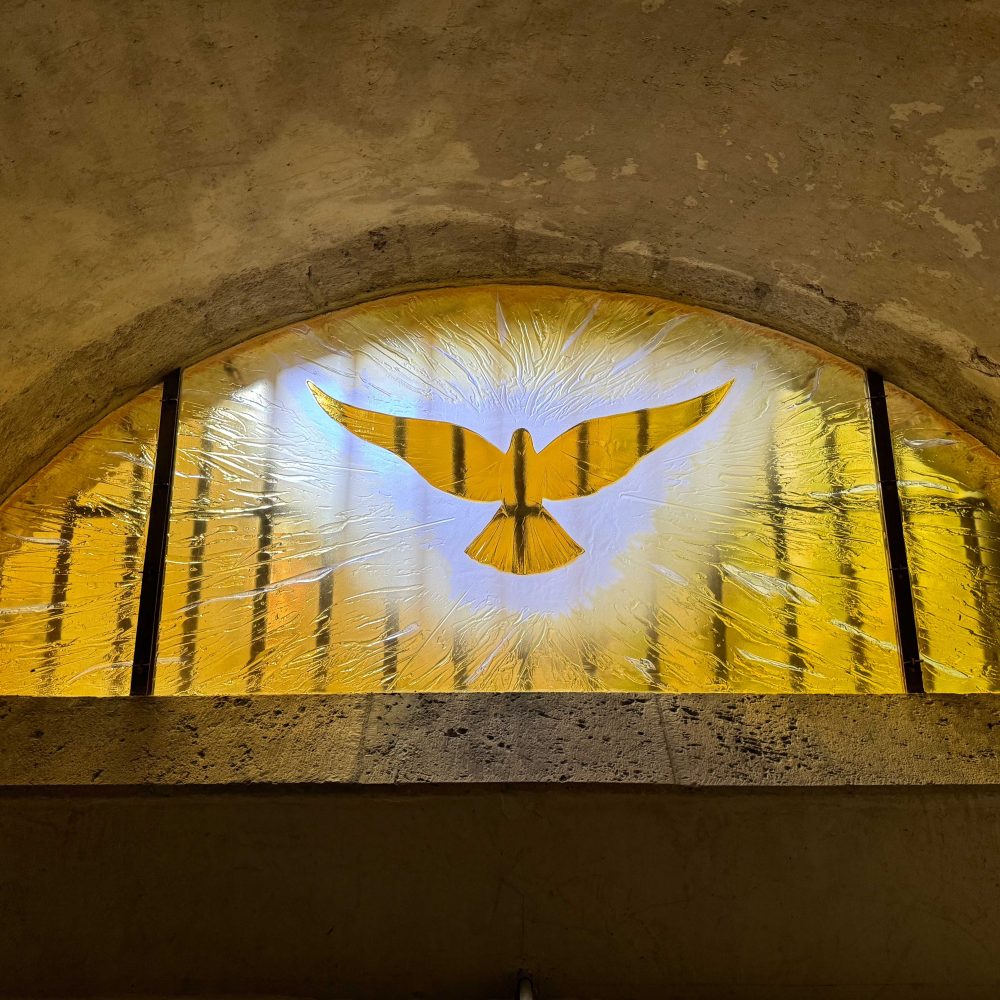 fleur-nabert-vitrail-esprit-saint-cathedrale-de-chartres-6